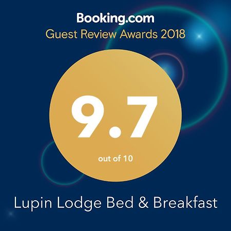 Lupin Lodge Bed & Breakfast 陶波 外观 照片