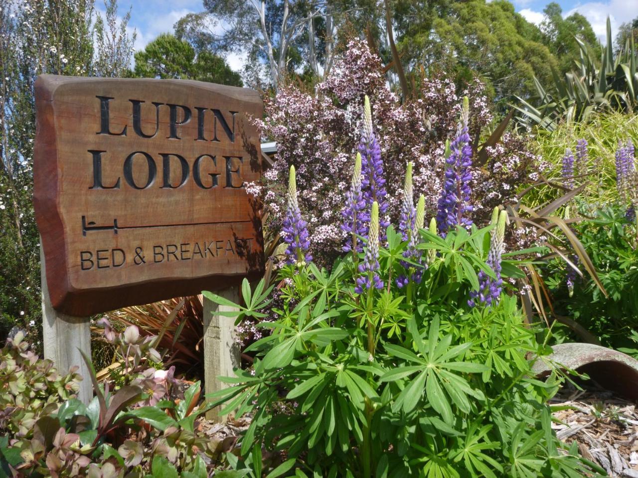 Lupin Lodge Bed & Breakfast 陶波 外观 照片